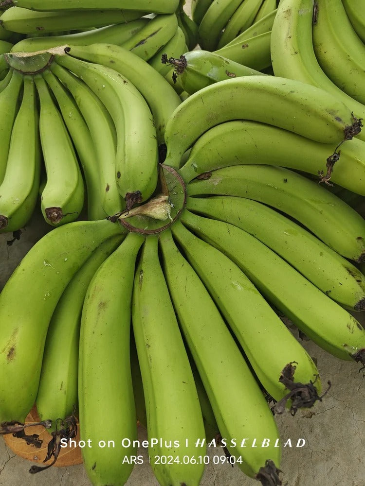 Raw Banana (Kacha Kela)  3 pics