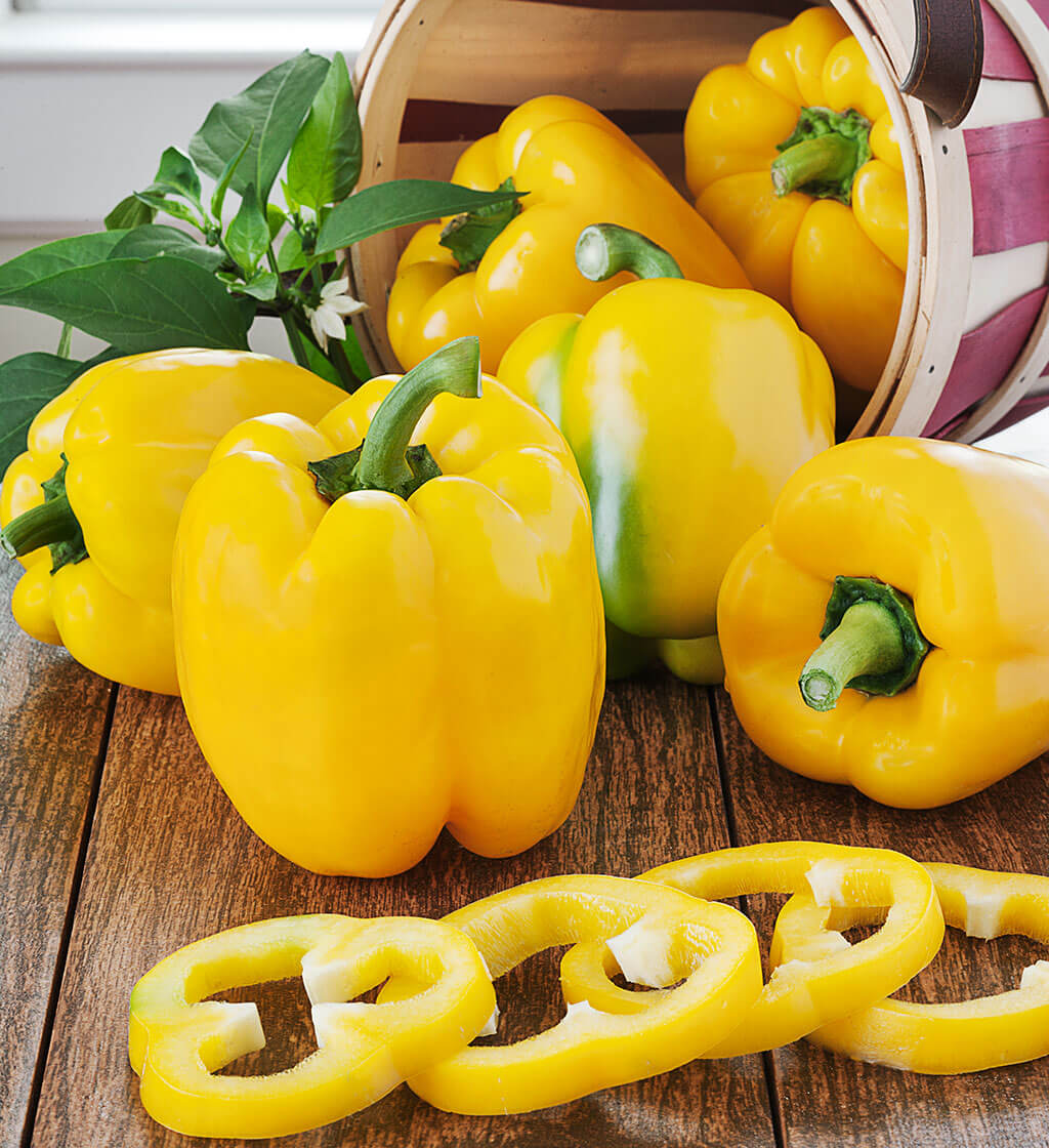 Yellow Bell Pepper    2pc