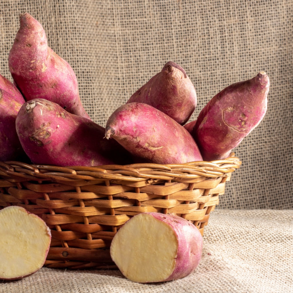 Sweet Potato (kanda) (500-600