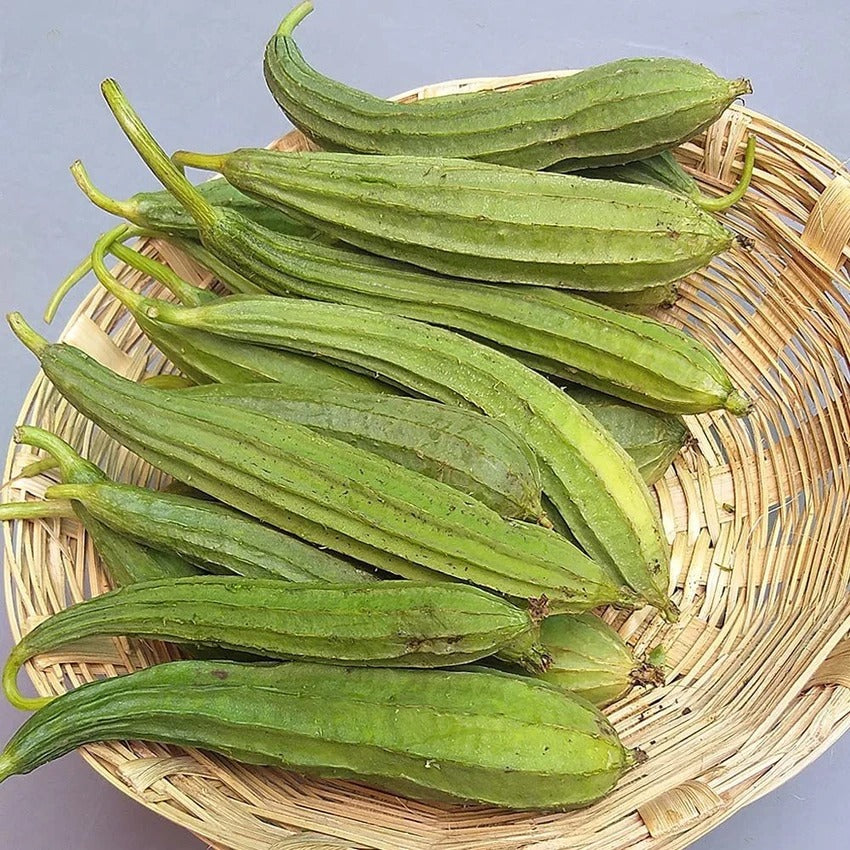 Ridge Gourd (Tori) 500 g