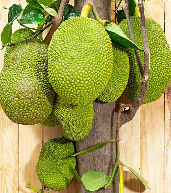 Jackfruit (kathal) 500 g