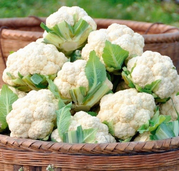 गोभी (Cauliflower)  1 pics